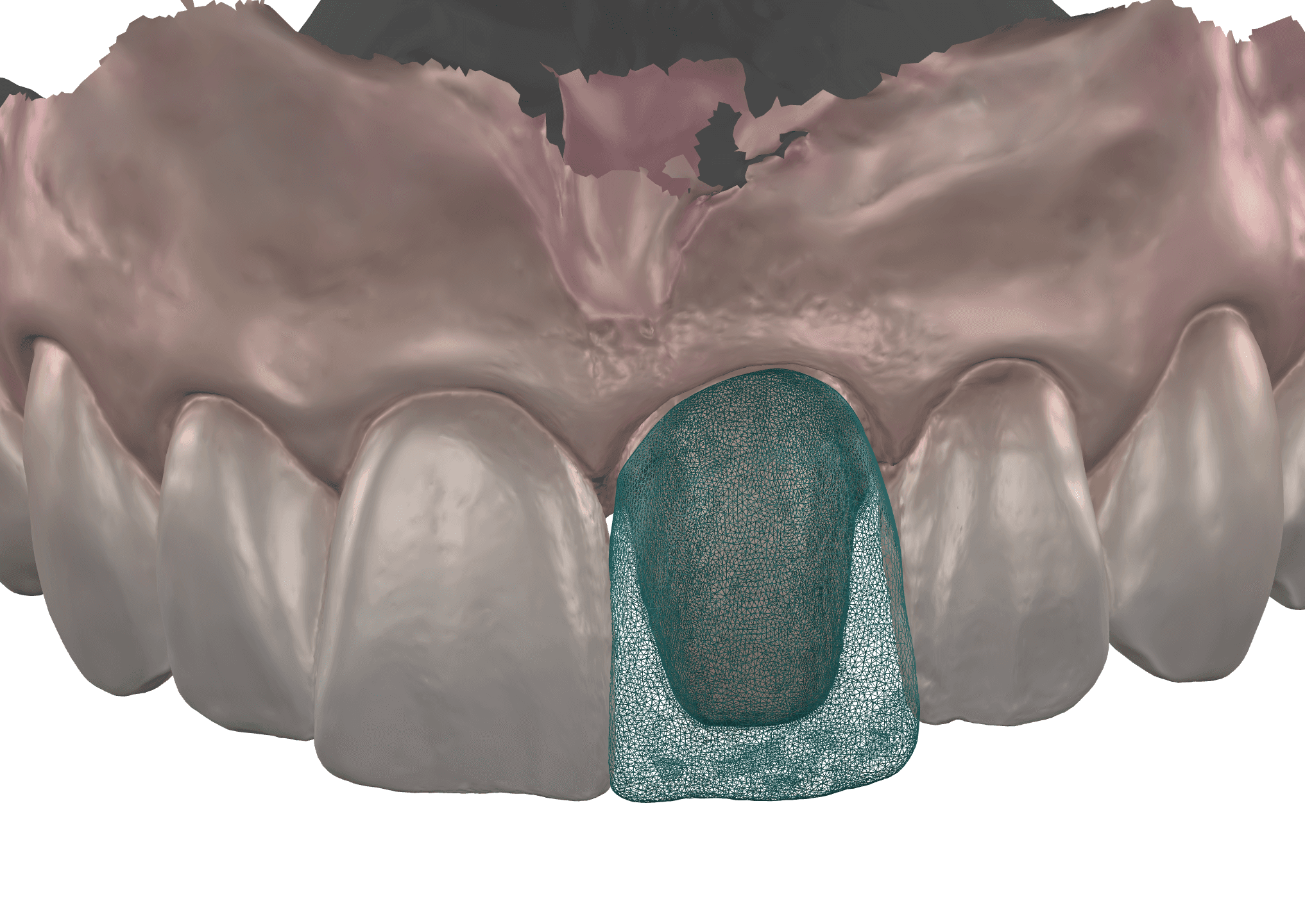 crown digital design