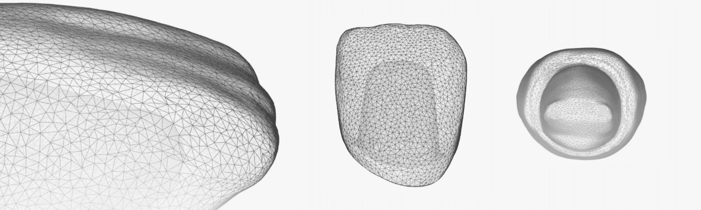 crown digital design